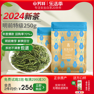 2024年新茶芳羽安吉白茶正宗明前特级嫩芽250g散装茶叶高山绿茶