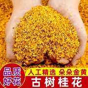 广西桂花干食用桂花食用特级金桂桂花干花烘焙干桂花可食用散装