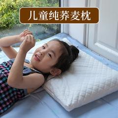 儿童枕头荞麦皮荞麦壳幼儿园小学生专用3岁以上6岁夏季纯棉小枕芯