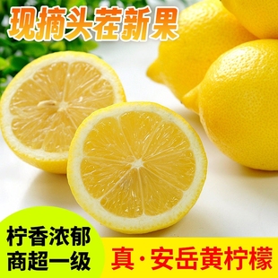 四川真安岳黄柠檬(黄柠檬)3斤当季新鲜水果，泡饮薄皮香水鲜甜柠檬生鲜
