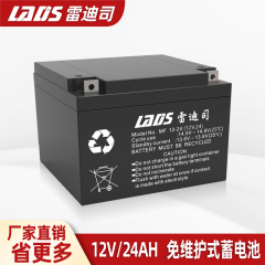 雷迪司UPS电池12V24AH铅酸蓄电池