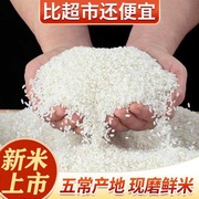 新米5斤东北寒地大米正宗五常稻花香大米20斤圆粒米长粒香米10斤