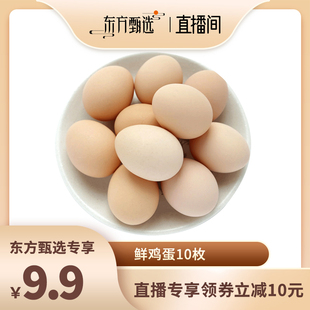 湖南专场田园居鸡蛋45g*10枚新鲜散养土，鸡蛋农家正宗草鸡蛋