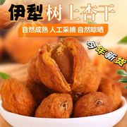 双双新疆伊犁特产树上干杏500g装袋新货，休闲零食