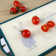 韩国进口菜板PE兔家族切菜板彼得兔砧板快乐宝贝双面多尺寸多规格