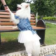 中型犬宠物公主裙，牛仔裙蕾丝纱裙萨摩银狐，金毛拉布拉多春夏秋裙子