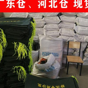 防汛专用沙袋整包100条应急防洪沙袋挡帆布，沙袋加厚防水沙袋空袋