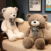 毛毛熊抱抱熊女生女孩，床上玩具熊网红毛绒大熊，小熊玩偶大公仔生日