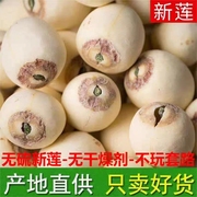 带芯莲子有芯白莲中药材莲子干货500g特产湘莲结婚用有心白莲子粒