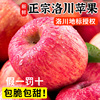 正宗陕西洛川苹果水果新鲜当季整箱现摘红富士冰糖心10斤