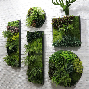 仿真植物墙面装饰田园壁饰背景墙圆形墙饰玄关软装文化墙壁挂绿植