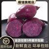 槿馐新鲜小紫薯，500g迷你紫红薯，紫番薯山芋紫芋头5件