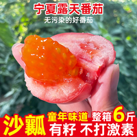 宁夏露天沙瓤西红柿新鲜自然，熟老品种生吃水果，番茄6斤非普罗旺斯