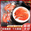 景旭香辣大虾即食烤海虾对虾独立小包装休闲小吃大连特产海鲜零食
