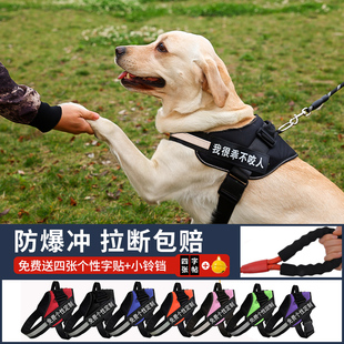 狗狗牵引绳遛狗绳子背心式，金毛拉布拉多大型中型小型犬狗链子背带
