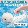 狗狗游泳衣水果系夏季宠物，玩水专用衣服，超强救生衣小型中型大型犬