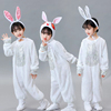 儿童小兔子演出服小白兔子，动物表演服装幼儿园舞台舞蹈纱裙