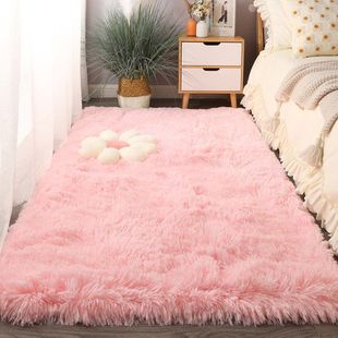 地毯卧室加厚床边毯客厅满铺沙发，茶几女生房间ins风网红毛绒地垫