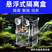 孔雀鱼繁殖盒幼鱼鱼缸隔离斗鱼，鱼苗产卵器热带鱼亚克力隔离孵化盒
