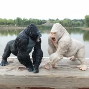大号金刚玩具黑猩猩模型软胶关节，可动儿童摆件，怪兽之王哥斯拉塑胶