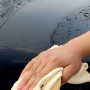 洗车天然真鹿皮抹布擦车巾专用汽车大号玻璃吸水加厚不留痕鸡