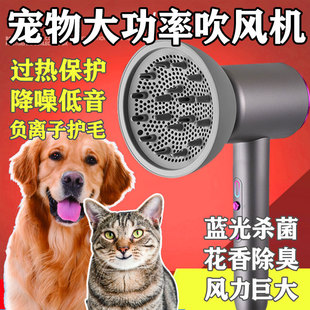 宠物专用大功率狗电吹风机吹毛神器金毛泰迪大型小型犬洗澡吹水猫