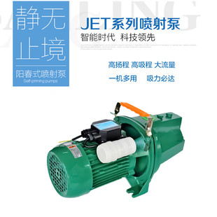 凌霄JET100/150家用喷射式自吸清水泵750W/1000W水井抽水泵抽水机