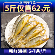 新鲜小黄花鱼5斤 深海捕捞小黄鱼冰鲜冷冻鲜活海鲜水产烧烤