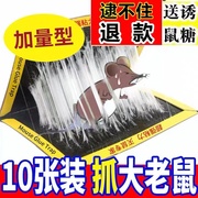 粘鼠板强力抓老鼠贴板大老鼠，沾鼠捕鼠神器强力胶粘家用老鼠粘