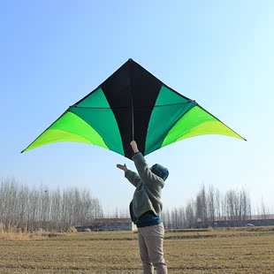 大草原风筝王侉子品牌风筝544伞布碳杆微风大型成人高档三角