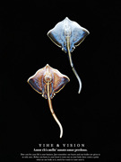 YIHE 原创设计鳐鱼有腔调小众海洋生物情侣陶瓷大衣胸针