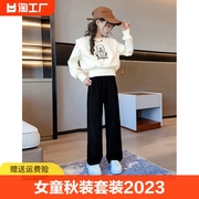 女童秋装套装2023洋气，时髦儿童装炸街中大童，卫衣两件套春秋款