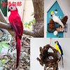 仿真鹦鹉假鸟创意工艺品装饰小鸟，花园庭院造景，虎皮金刚鹦鹉摆件鸟