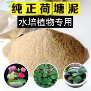 荷塘泥碗莲专用泥土荷花塘泥铜钱草水莲土淤泥睡莲莲花河泥池塘泥