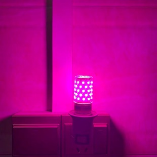 LED插电小夜灯氛围卧室蓝色拍照补光粉色七彩抖音同款紫色网红灯