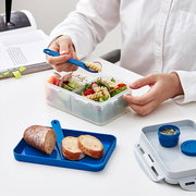乐扣乐扣带盖保鲜盒塑料，分隔饭盒便当盒水果，便携轻食减脂沙拉上班