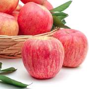 净重10斤脆甜多汁山东栖霞苹果烟台红富士苹果礼盒当季新鲜水果