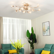 客厅大灯现代简约水晶吸顶灯，浪漫温馨欧式卧室，灯轻奢餐厅灯具