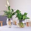 客厅绿萝水培玻璃花瓶水养植物，花盆透明大号，器皿富贵竹瓶小型鱼缸
