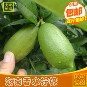 新鲜无籽海南香水柠檬一级果奶茶店专用果皮薄水果台湾黄青绿