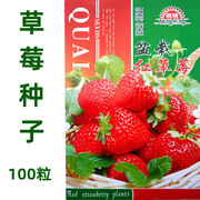 奶油草莓红草莓白草莓(白草莓)种子四季庭院，阳台蔬菜水果种子种籽植物盆栽