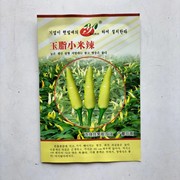 皖北阳光玉脂小米辣辣椒，种子白米椒朝天椒超辣腌泡椒种子四季高产