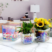 水培花盆玻璃瓶创意方缸，玻璃花瓶透明绿萝铜钱，草水养植物器皿容器