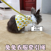 兔兔衣服侏儒兔服饰兔子小衣服垂耳兔猫猫兔溜达送牵引绳兔子用品