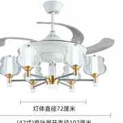 定制灯具北欧风扇灯现代简约客厅餐厅卧室装饰风扇灯吊灯套房家用