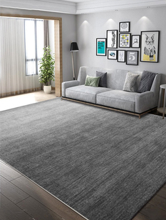 轻奢高级灰色圈绒地毯客厅，现代简约沙发茶几，垫卧室地毯家用大面积