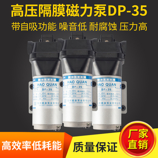 微型隔膜泵dp-3524v12v直流泵喷雾泵、自吸泵
