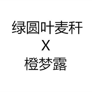 小柚子园艺2024年杂交多肉，种子绿圆叶麦秆，杂梦露种子