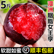 澳洲胭脂女王李5斤新鲜红肉李当季水果血丝李大果红布林3