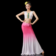 傣族舞蹈演出服装表演服傣族儿舞蹈服装童女舞裙孔雀舞艺考服装